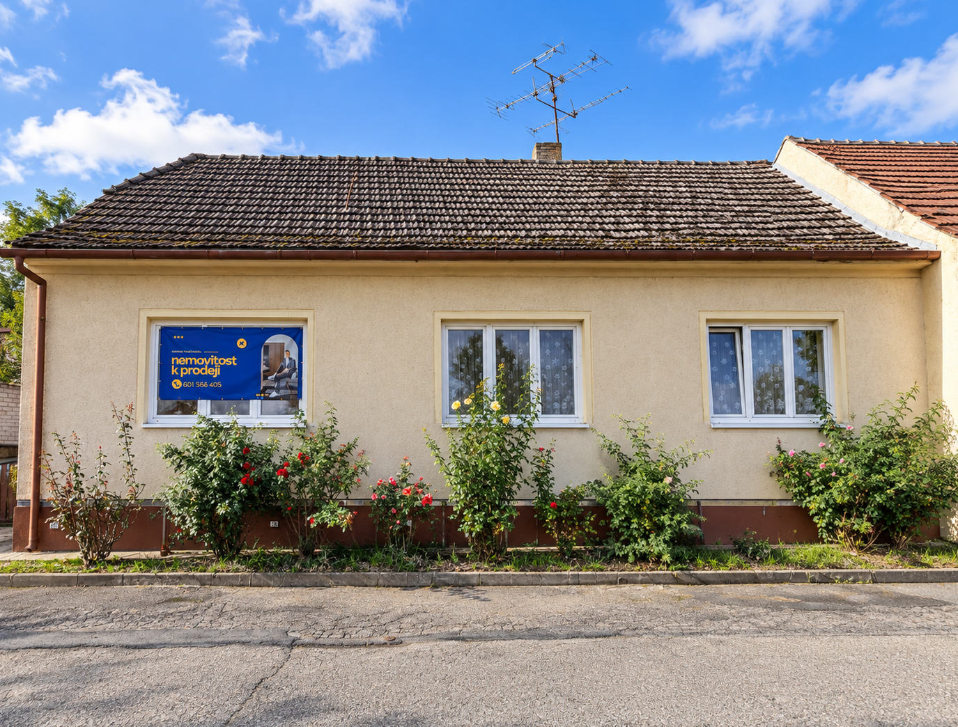 Prodej pozemku 241 m² — fotografie 1